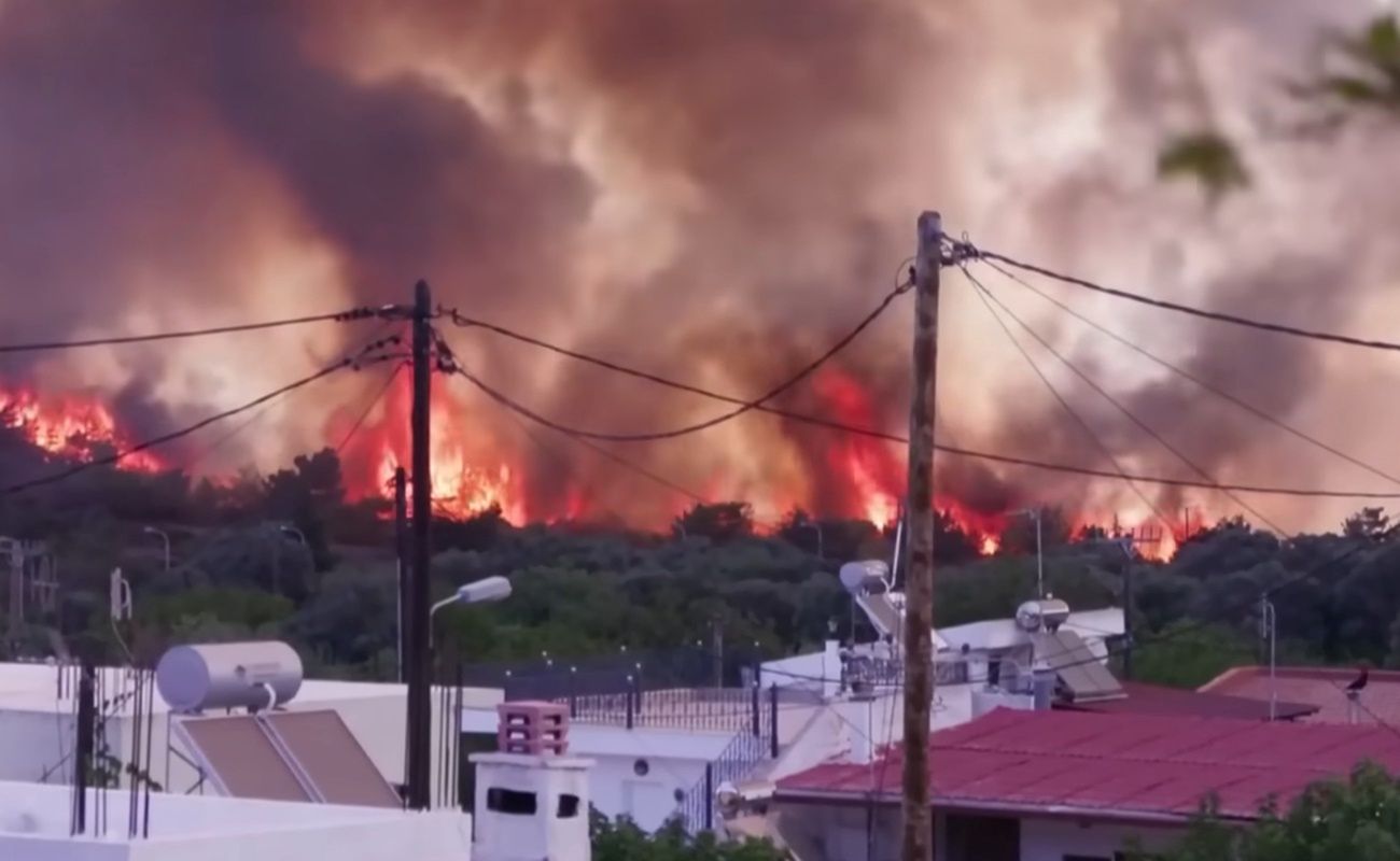 Pożary w Grecji. Wstrząsające ustalenia