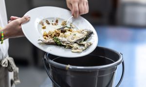 61,7 ton między 23 a 30 grudnia. Tyle jedzenia ląduje w koszach