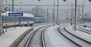 Niezwykłe zjawisko w Czechach. Spadł nietypowy śnieg