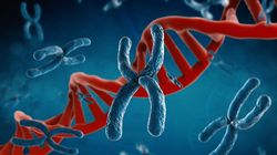 Disomia jednorodzicielska - charakterystyka, skutki kliniczne