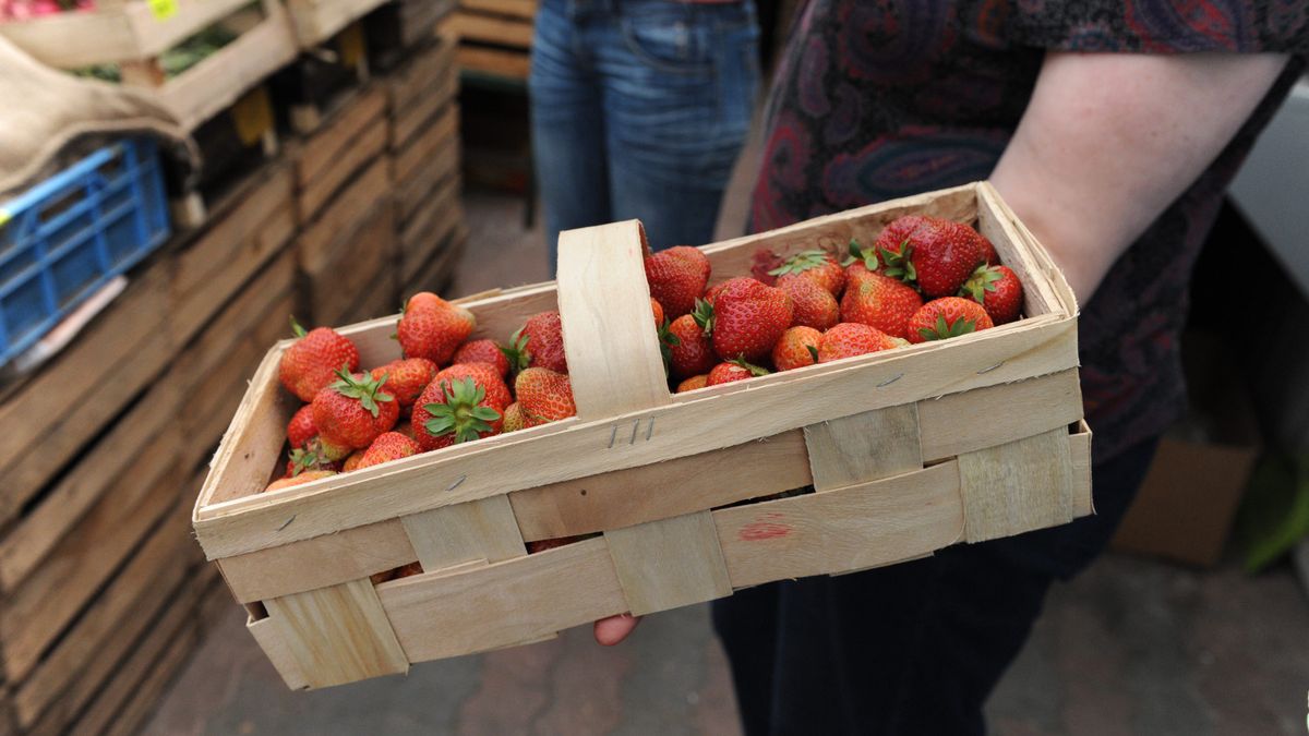 Jak nie dać się oszukać? Sposobów jest kilka. Zdjęcie ilustracyjne