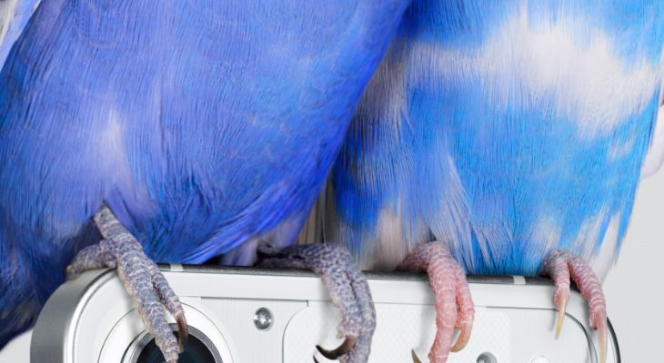 Tak wygląda Nothing Phone (1). A przynajmniej jego kawałek 2