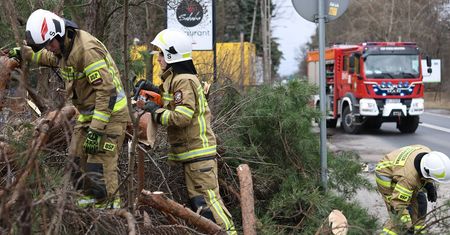 Pogoda. Niż Franklin nad Polską. Do silnego wiatru dołączą opady