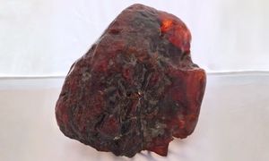 Leżał latami na progu. Właścicielka nie wiedziała, ile jest warty