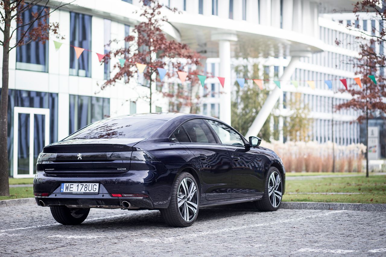 Peugeot 508 GT (2019) (fot. Mateusz Żuchowski)