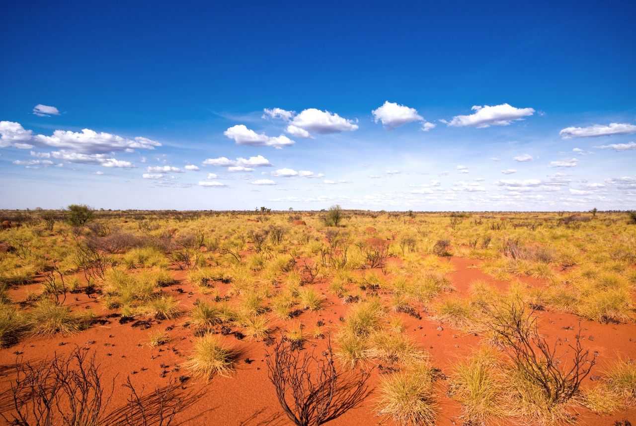 Ekstremalnie wysokie temperatury w Australii. Zapowiadany jest najgorętszy dzień w historii