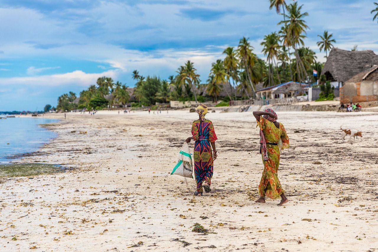 Polacy utknęli w dżungli. Nie wrócą już na Zanzibar