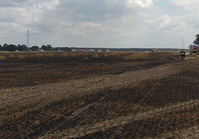 Opolskie: Pożar podczas żniw. Spłonęło 10 hektarów zboża