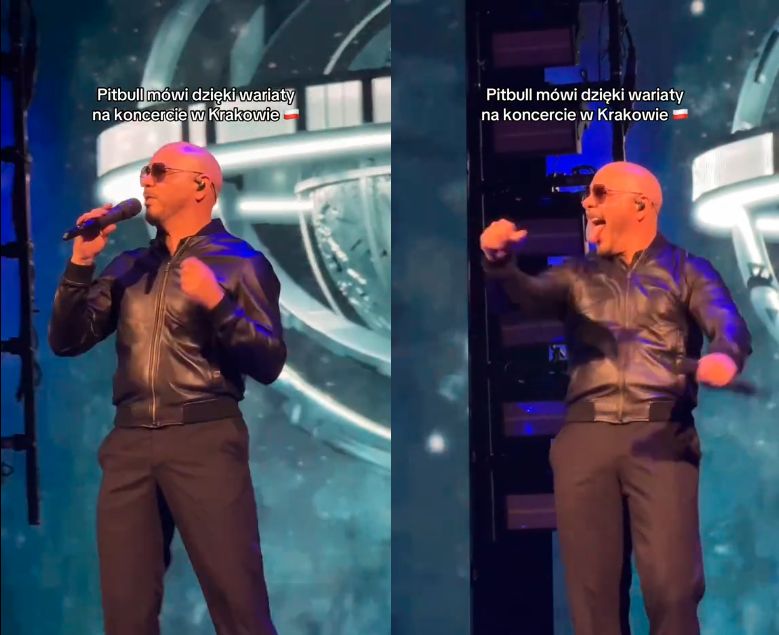 Pitbull w Polsce