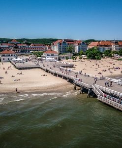 Największa zmora plażowiczów nad Bałtykiem. "Tutaj nie ma reguły"