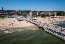 Największa zmora plażowiczów nad Bałtykiem. "Tutaj nie ma reguły"