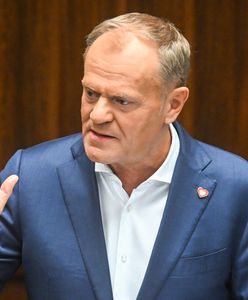 "Gęsia skórka na myśl o wygranej Nawrockiego" i maksymalna mobilizacja. Koalicja reaguje po słowach Tuska