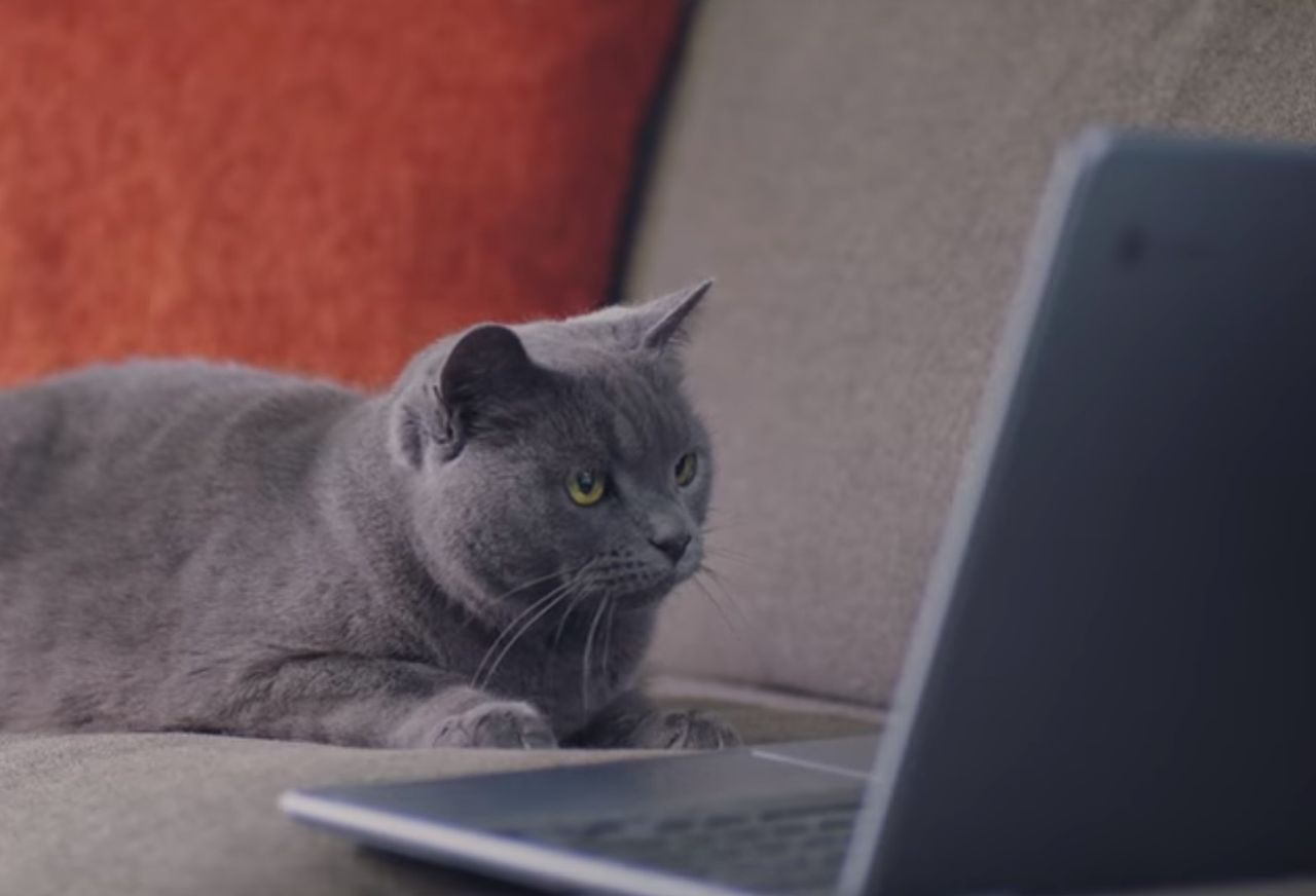 Do widzenia, Campfire. Windows 10 jednak nie trafi na Chromebooki