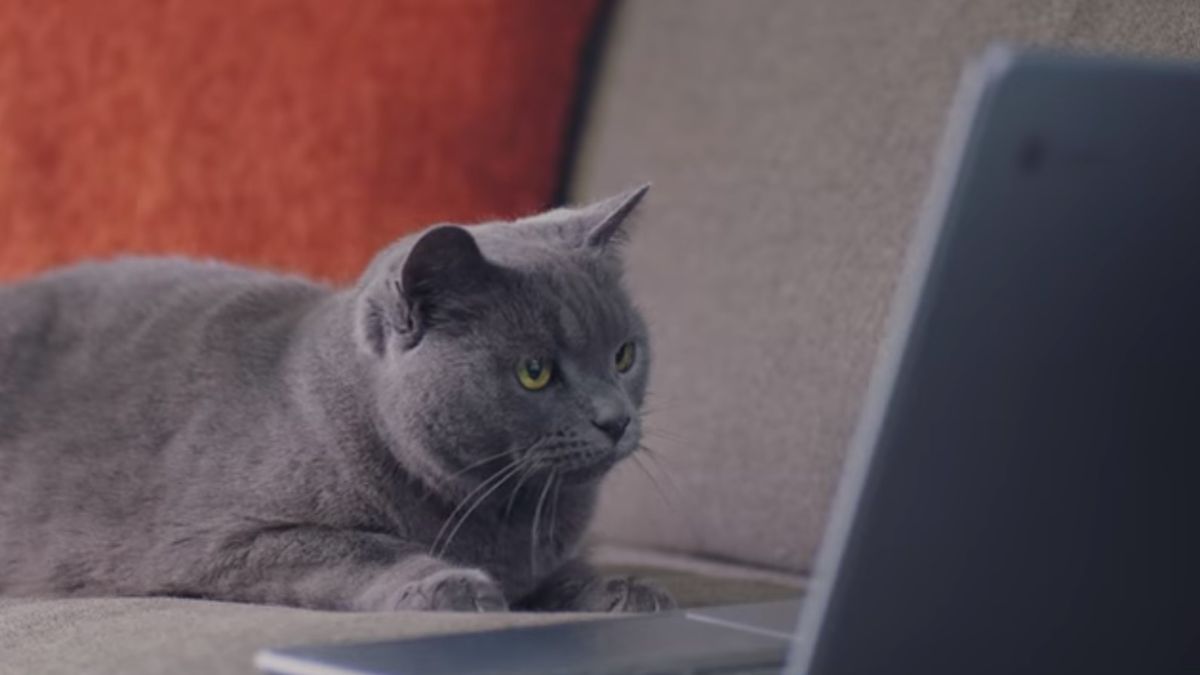 Fot. Materiały prasowe