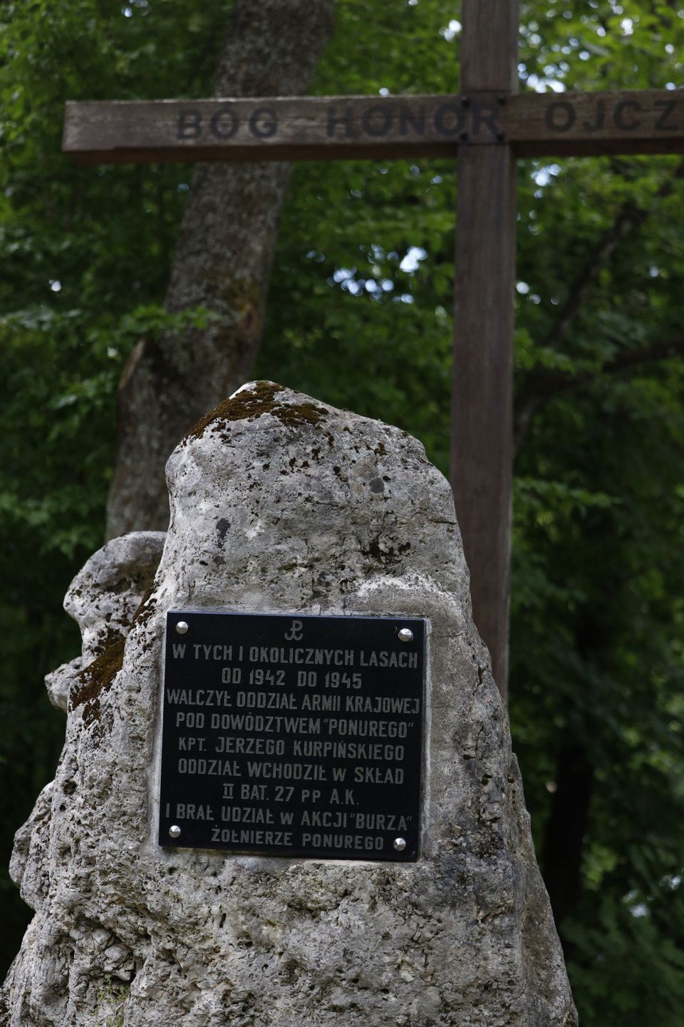 Rezerwat Przyrody &#34;Parkowe&#34;