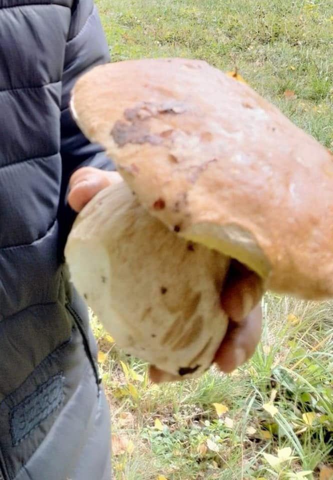 zbiory pana Kacpra nieopodal Jamnej (woj. małopolskie)