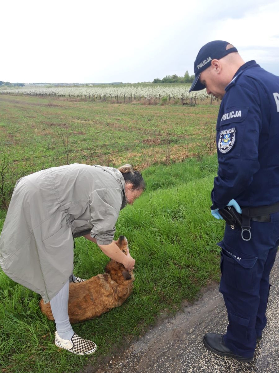 Policjant ratuje pieska