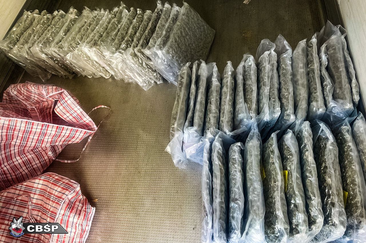 CBŚP rozbija narkotykową siatkę powiązaną z pseudokibicami – zabezpieczono 168 kg narkotyków.