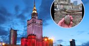 Niezwykłe odkrycie w sercu Warszawy. Znaleziono rzecz, bez której nie odbędą się święta