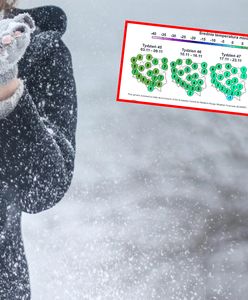 Szanse na pierwszy śnieg już w listopadzie? Synoptycy zdradzają