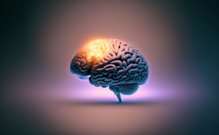 Od kilku dekad ludzkie mózgi stają się coraz większe