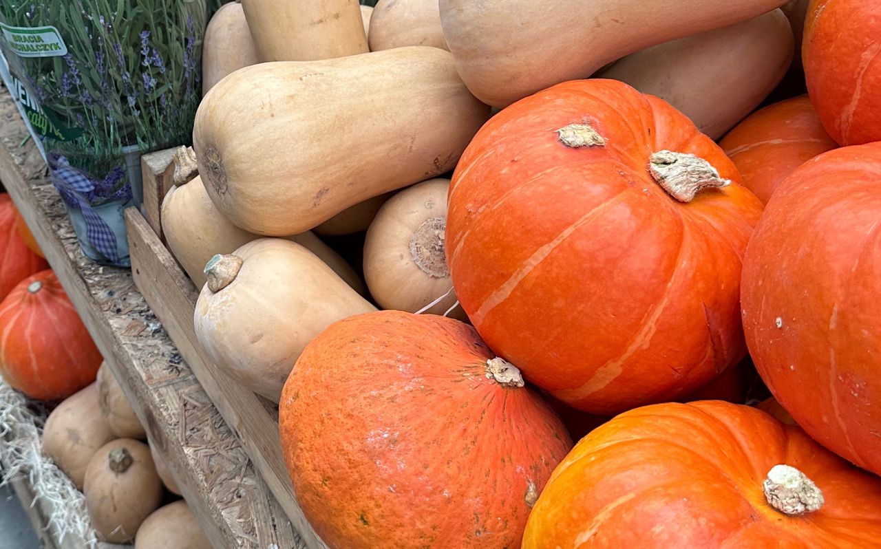 Co najlepiej jeść w listopadzie i dlaczego?