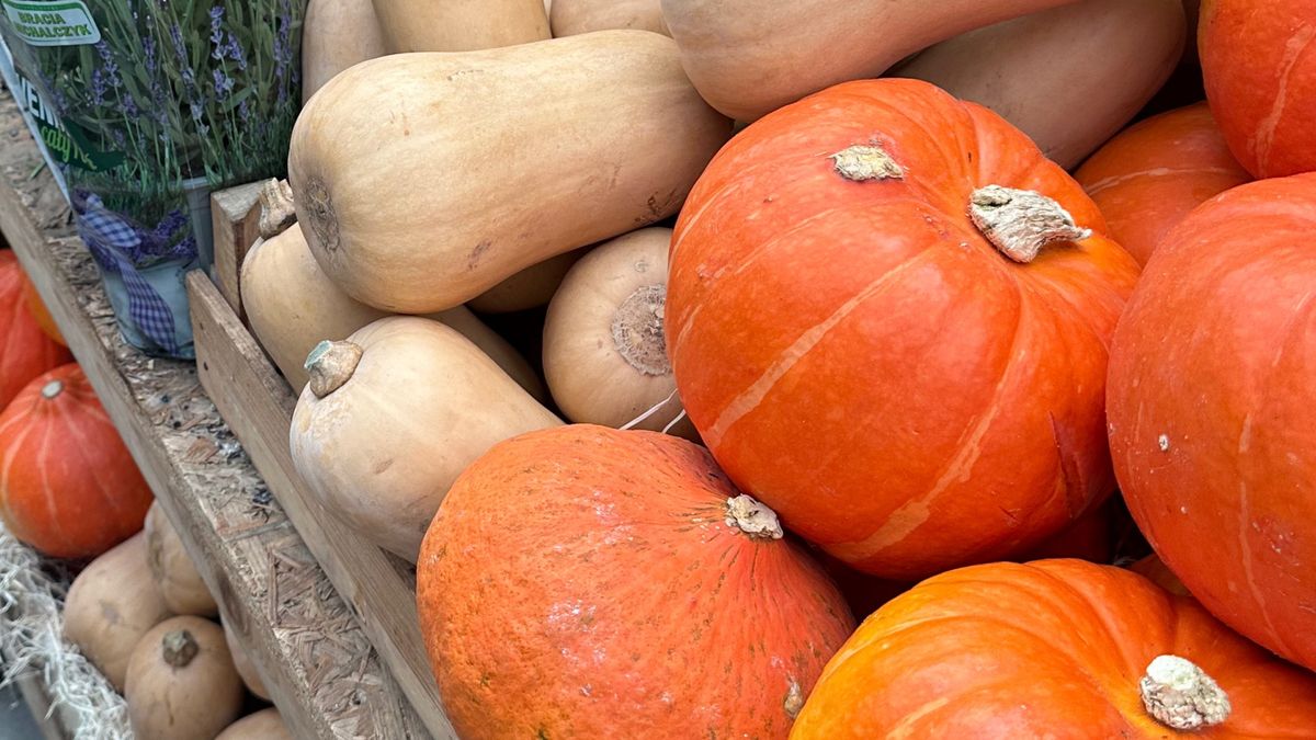 Co jeść w listopadzie?