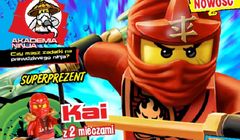 „Lego Ninjago” na czele sprzedaży pism dziecięcych. „Lego Friends. Magazyn” z największym wzrostem
