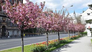 Bielsko-Biała: Zamkowa znów zamknięta. Tym razem na dłużej