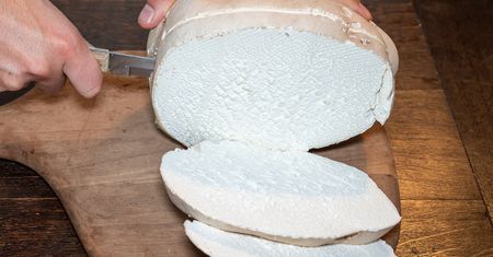 Na kotlety sprawdzi się lepiej niż kania. To marzenie każdego grzybiarza