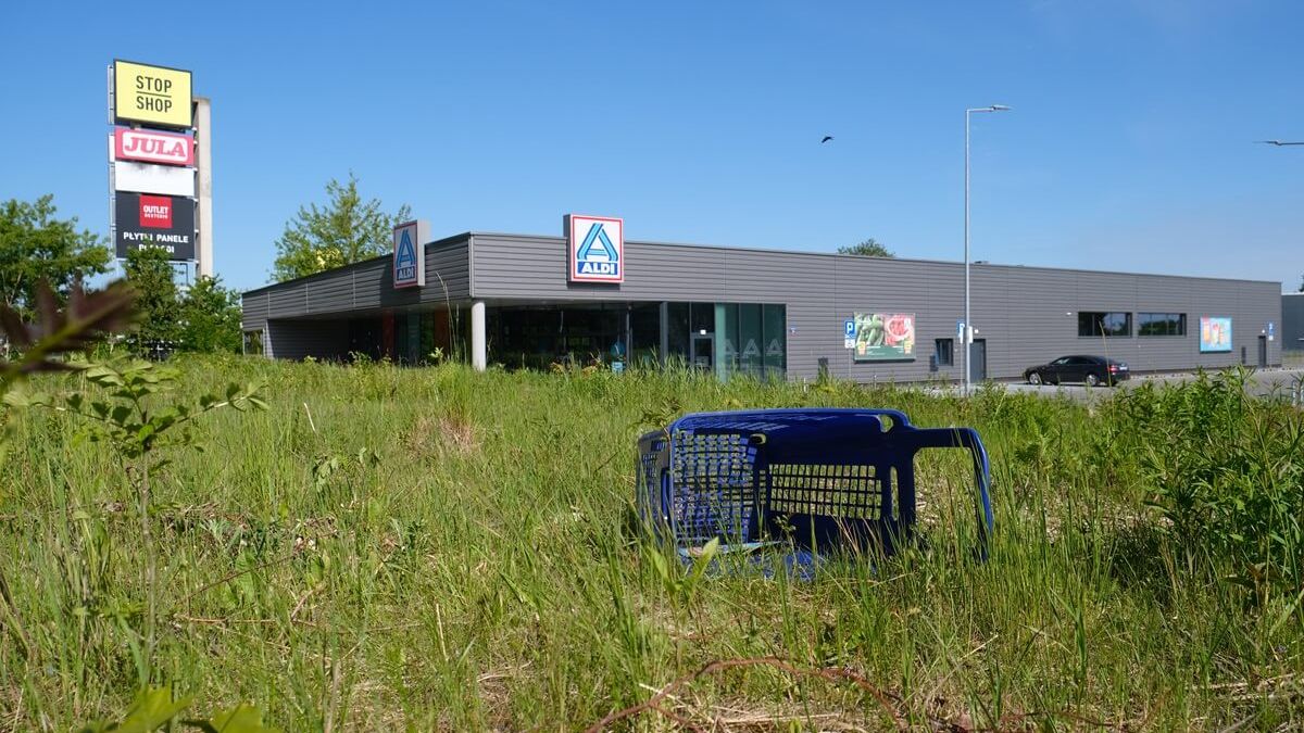 Wycięli drzewa, żeby posadzić nowe drzewa obok sklepu Aldi przy ul. Gospodarczej