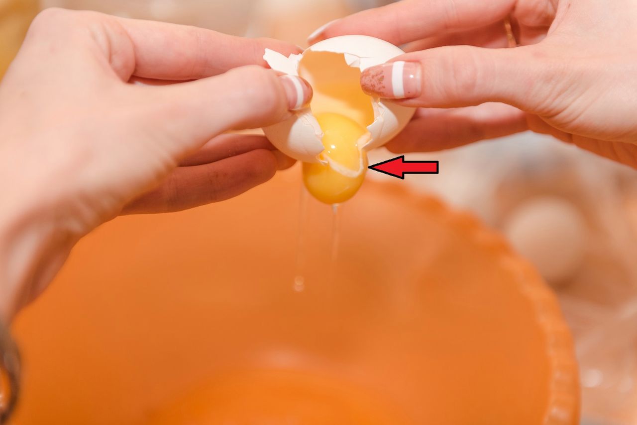 Biała lub czerwona grudka na żółtku. Obrzydliwa? Niekoniecznie, bo może świadczyć o świeżości jajka