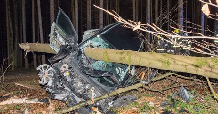 Cudem uniknęła śmierci. Drzewo przewierciło się przez samochód