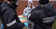 Rozbicie gangu narkotykowego w Bydgoszczy. Zlikwidowano 2 laboratoria i zatrzymano 7 osób