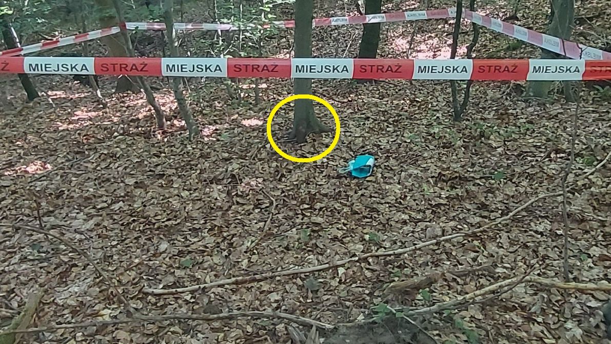 Spacerowały po lesie i natrafiły na niewybuch