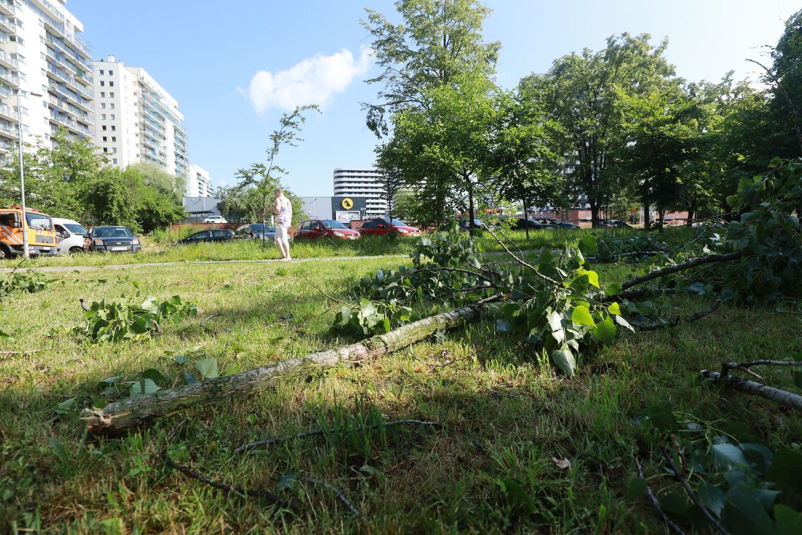 Katowice po wichurze. Osiedle Tysiąclecia wśród najbardziej poszkodowanych