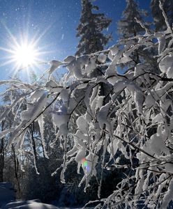 Pogoda z IMGW na weekend. "Może być naprawdę niebezpiecznie"