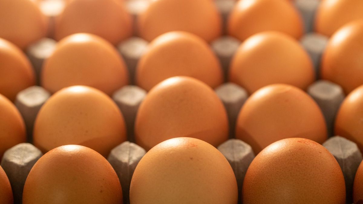 Groźna bakteria na skorupkach jaj. GIS wydał ostrzeżenie