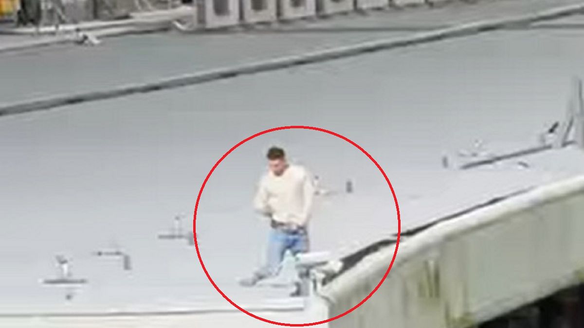 Kibic na dachu stadionu w Sydney