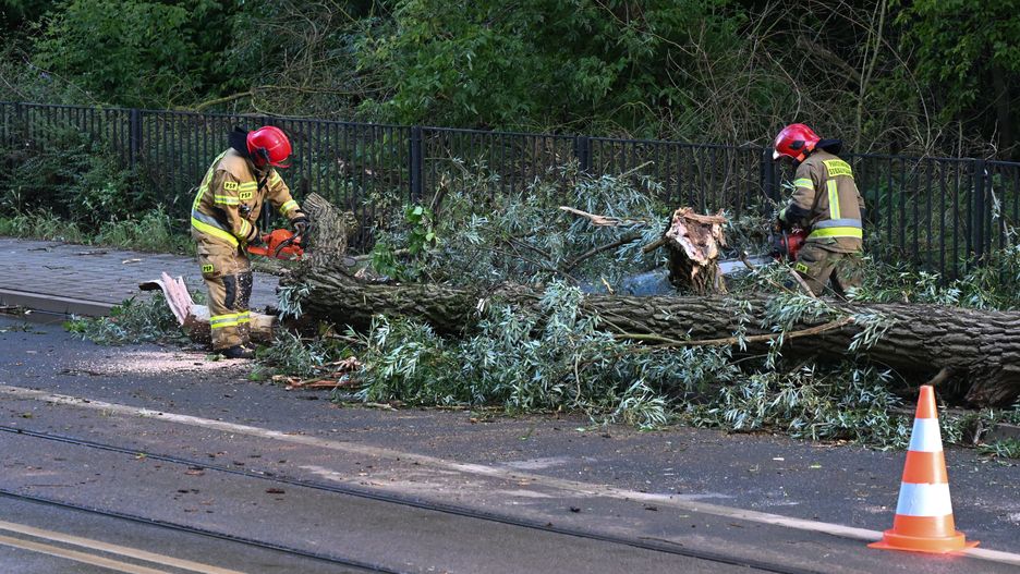 Szczecin, 23.06.2025. Usuwanie skutków burzy jaka przeszła nad Szczecinem, 23 bm. Instytut Meteorologii i Gospodarki Wodnej wydał ostrzeżenia I i II stopnia przed burzami w całym kraju. (sko) PAP/Marcin Bielecki ***Do tego materiału zdjęciowego dostępna jest również depesza w systemie CSI, pt.: Ostrzeżenia IMGW i alert RCB: gwałtowne burze w całym kraju, na południu upał***