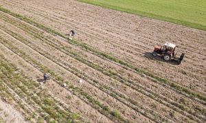 Trwają kontrole na wsiach. Co sprawdzają inspektorzy?