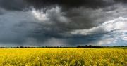 IMGW ostrzega. Te chmury mogą oznaczać zagrożenie