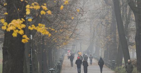 Polskie powietrze powoduje raka. Jesteśmy najgorsi w Europie
