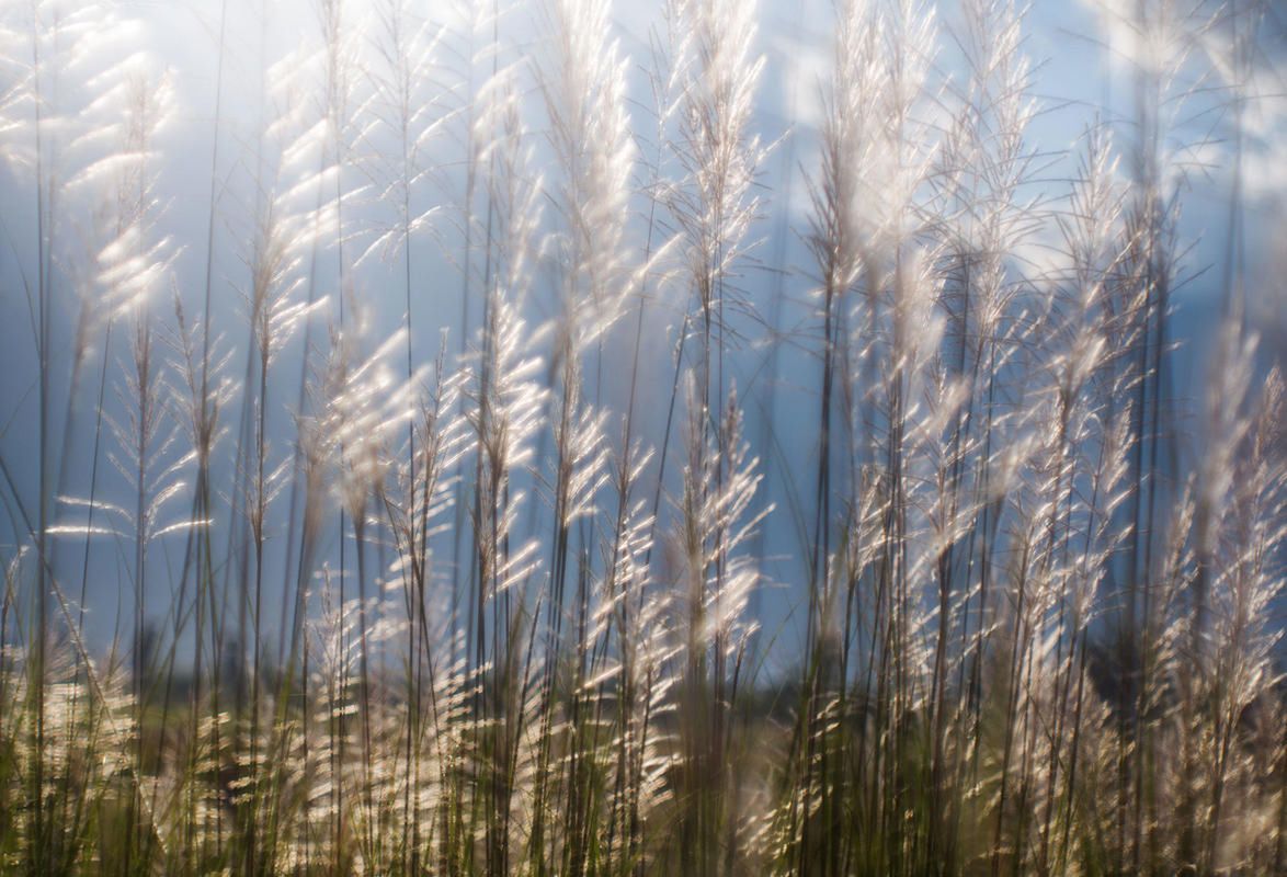 Leica Thambar-M 90 mm f/2.2 - powrót na rynek obiektywu, który daje bajkowe rozmycie 6