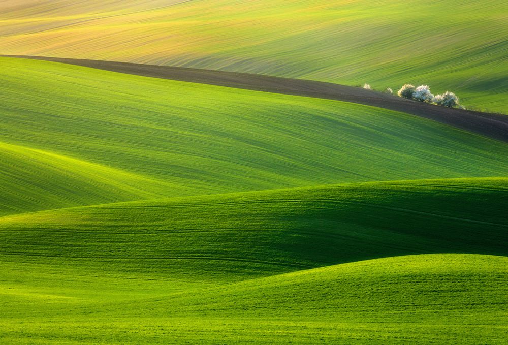 Dwóch Polaków nagrodzonych w Sony World Photography Awards 2012 2