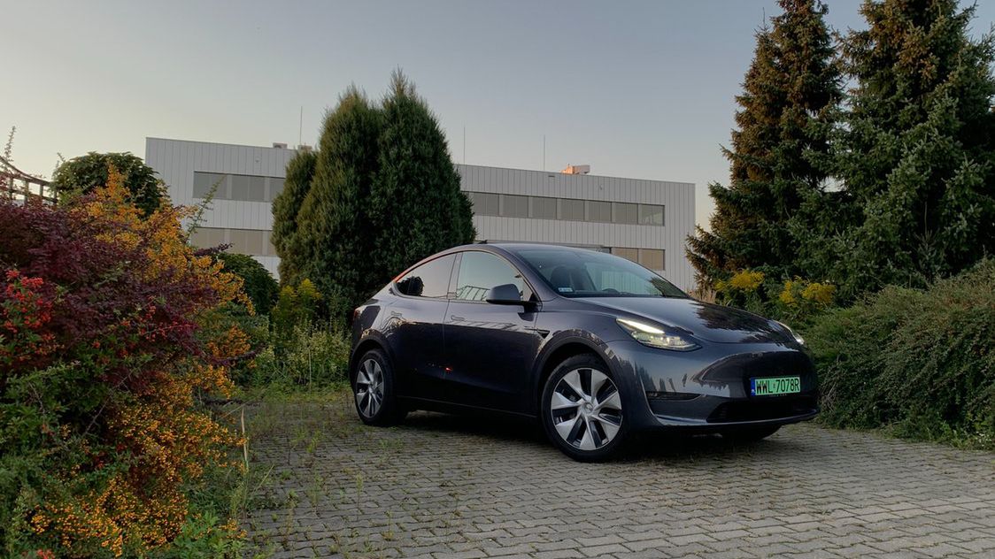 Dostawy Modelu Y w dużej mierze przyczyniły się do świetnego wyniku Tesli