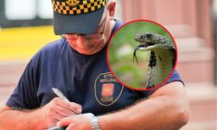 "Przy stojakach rowerowych leży mała kobra". Nieoczekiwany finał