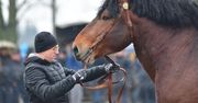 Skaryszew: Targi Końskie Występy 2026. Wydarzenie istnieje 400 lat