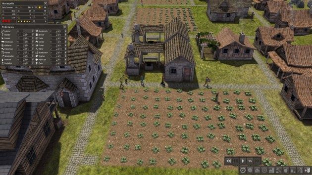 Banished - kapusta