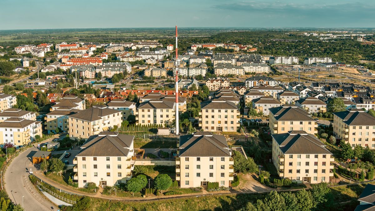 "Nie będzie to okres zapaści". Oto co w tym roku będzie się działo na rynku